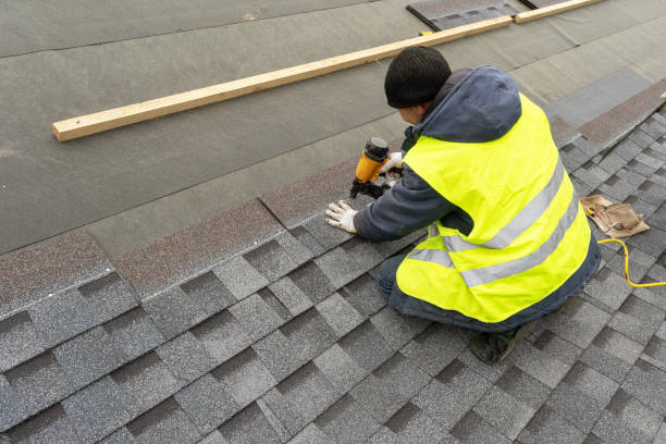 Best Roof Gutter Cleaning  in Vernon, WI